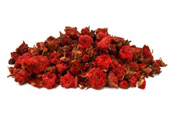 فروش گلنار فارسی برای دندان + قیمت خرید به صرفه